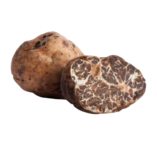 Bianchetto truffle