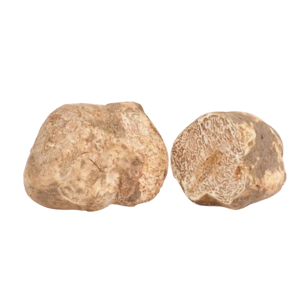Premium white truffle
